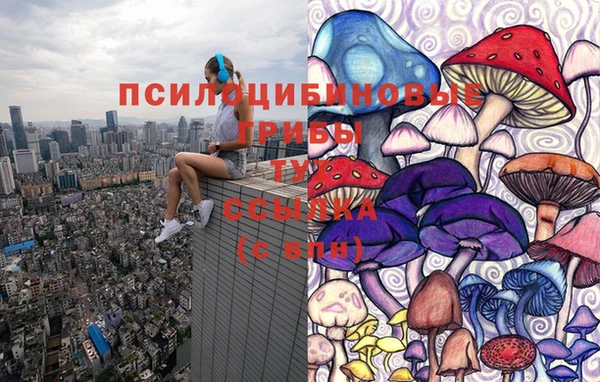 2c-b Бронницы