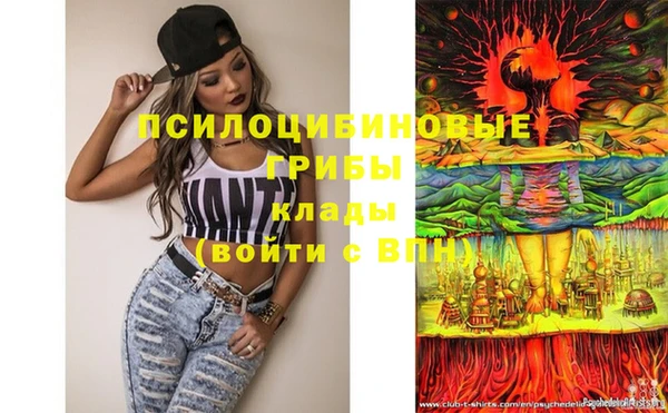 МДМА Бородино