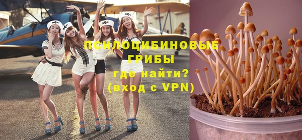 2c-b Бронницы