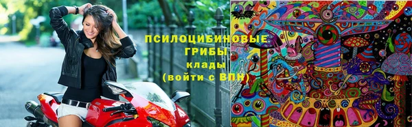 2c-b Бронницы