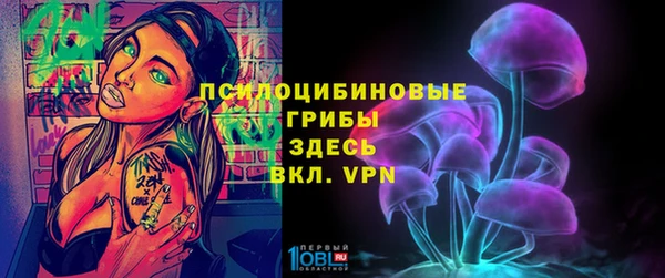 apvp Бугульма