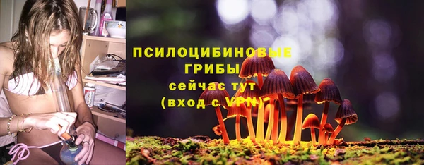 apvp Бугульма