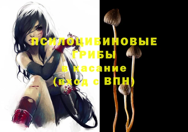 2c-b Бронницы