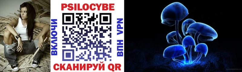 закладки  Вичуга  Галлюциногенные грибы GOLDEN TEACHER 