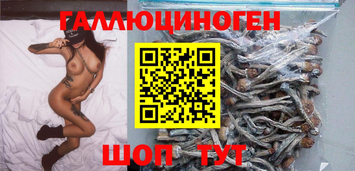 Псилоцибиновые грибы GOLDEN TEACHER Вичуга